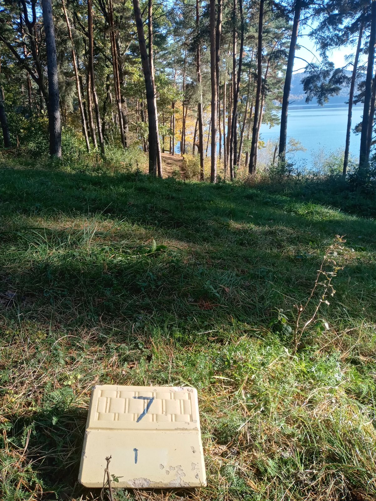 Hole 7 Tee