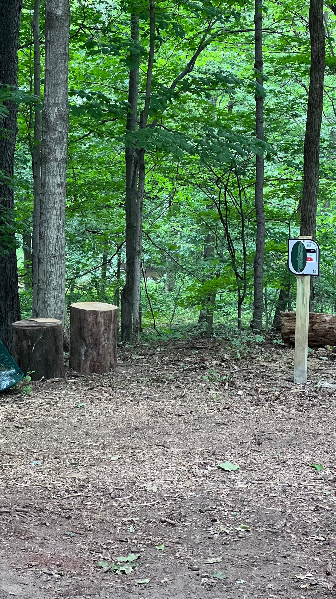 Tee off area for hole 15