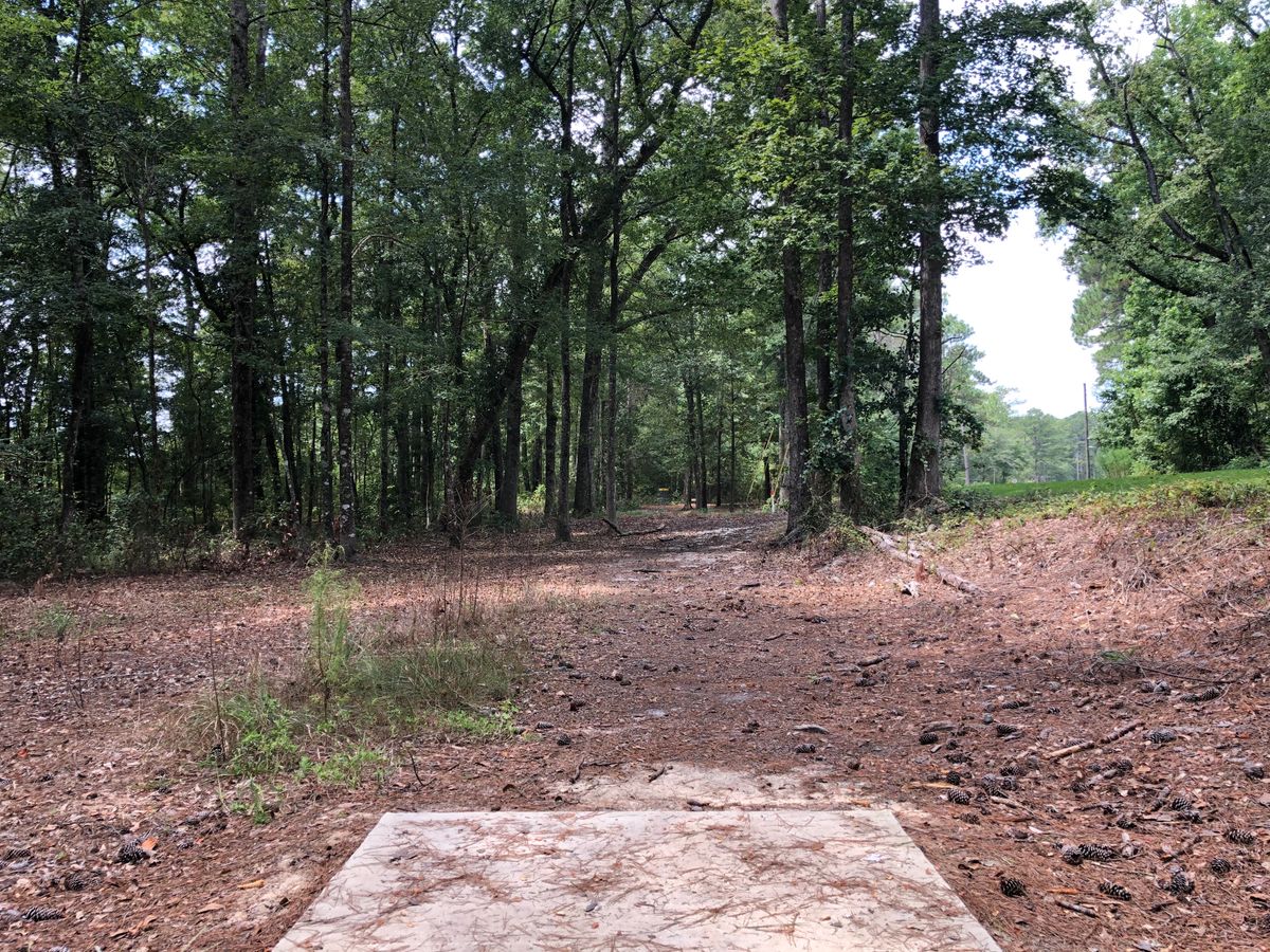 Hole 11 - Blue