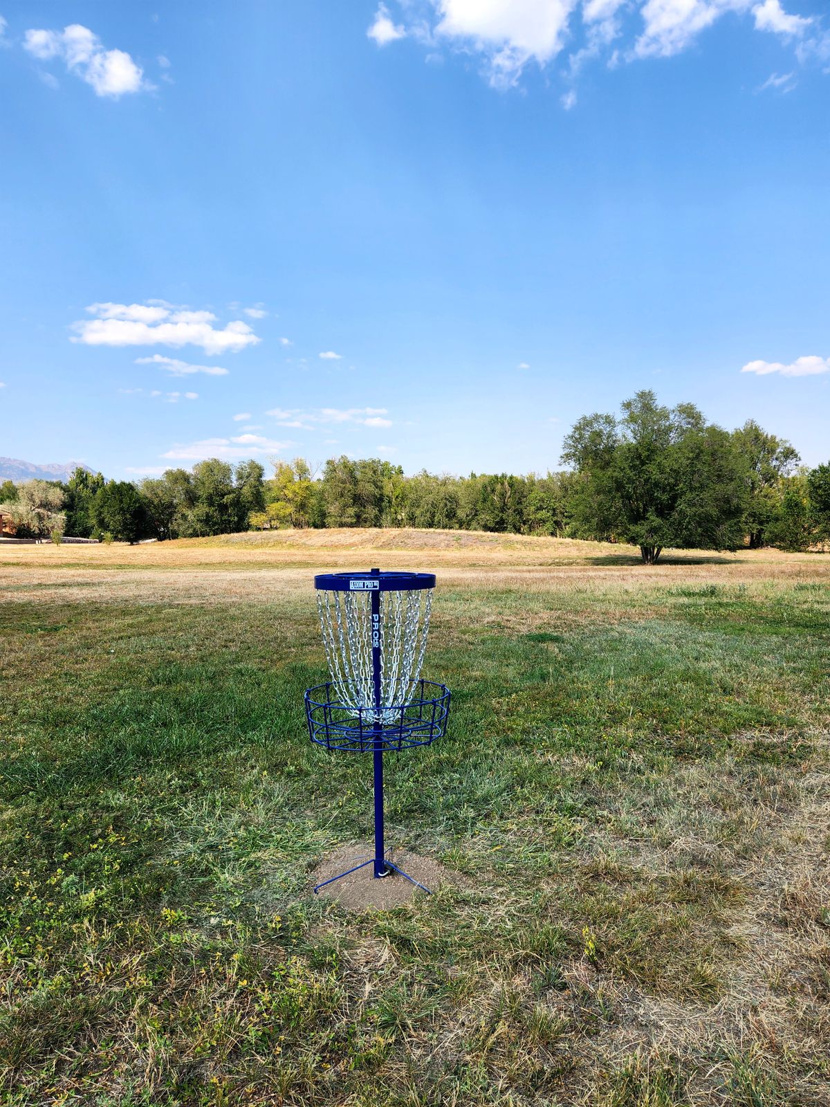 Hole 7 lookin towards the tee box.