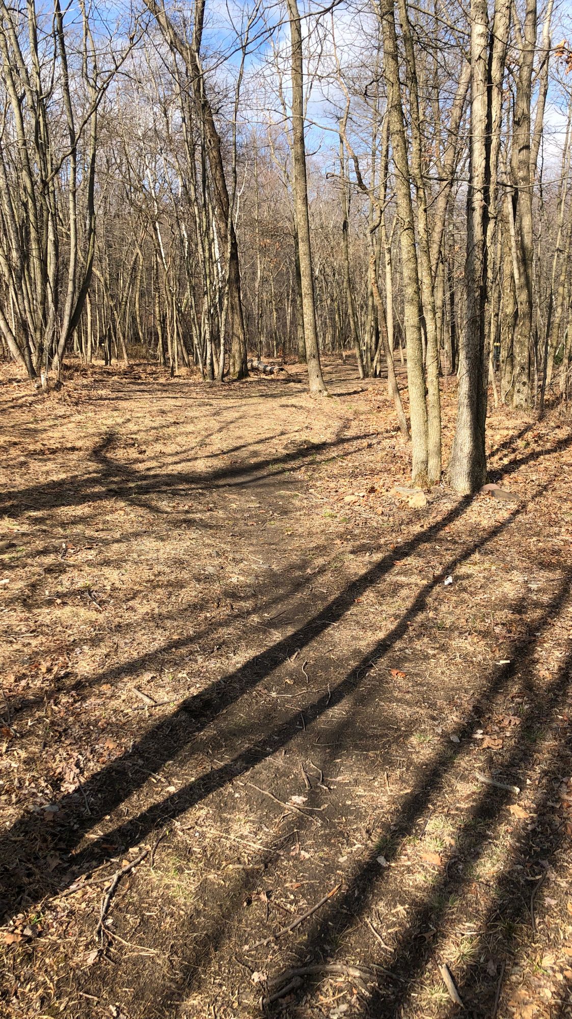 Hole #2 fairway