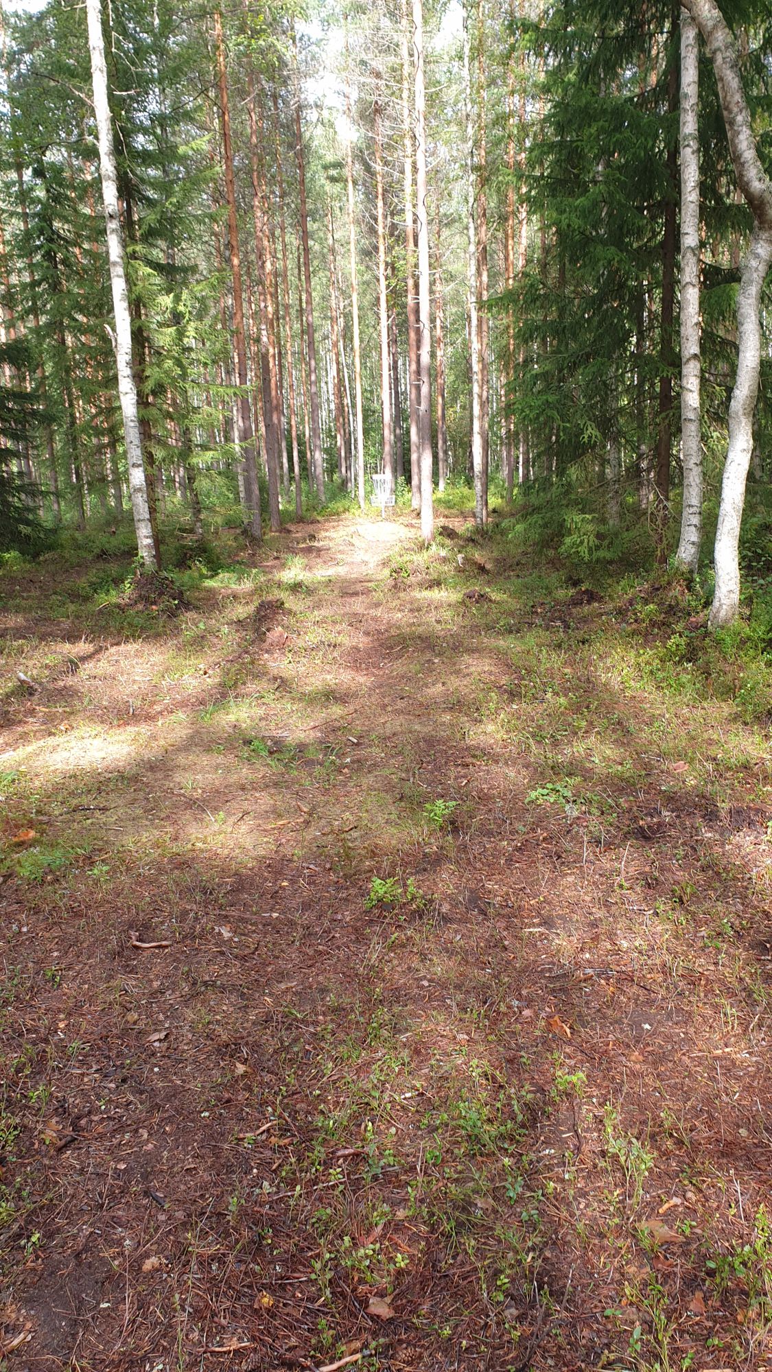 Hole 5