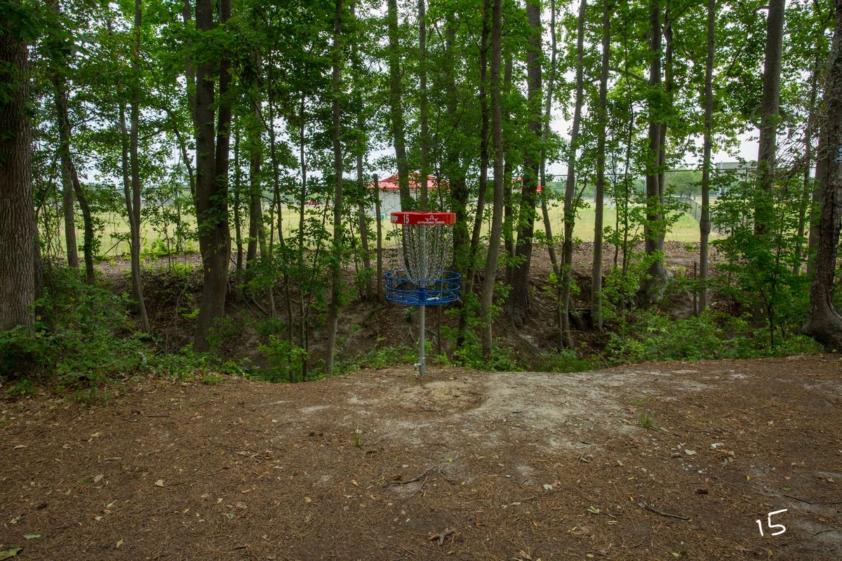 Creek behind basket