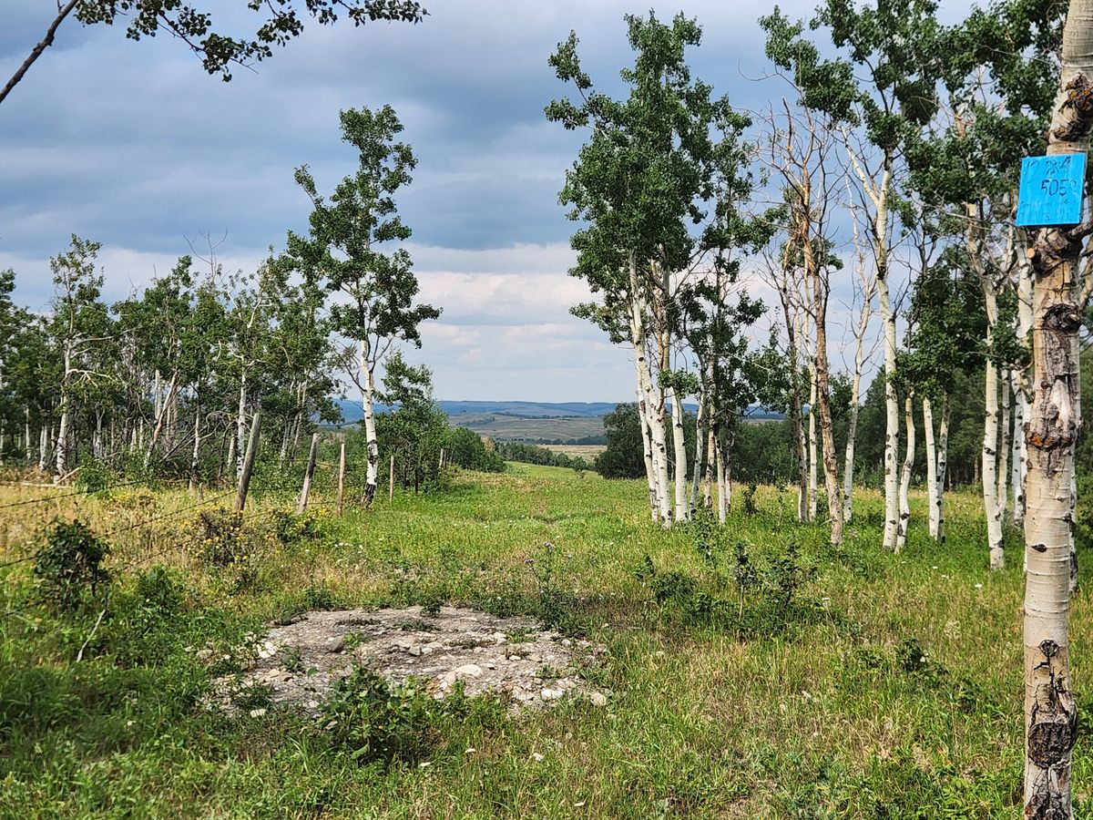 Hole 12