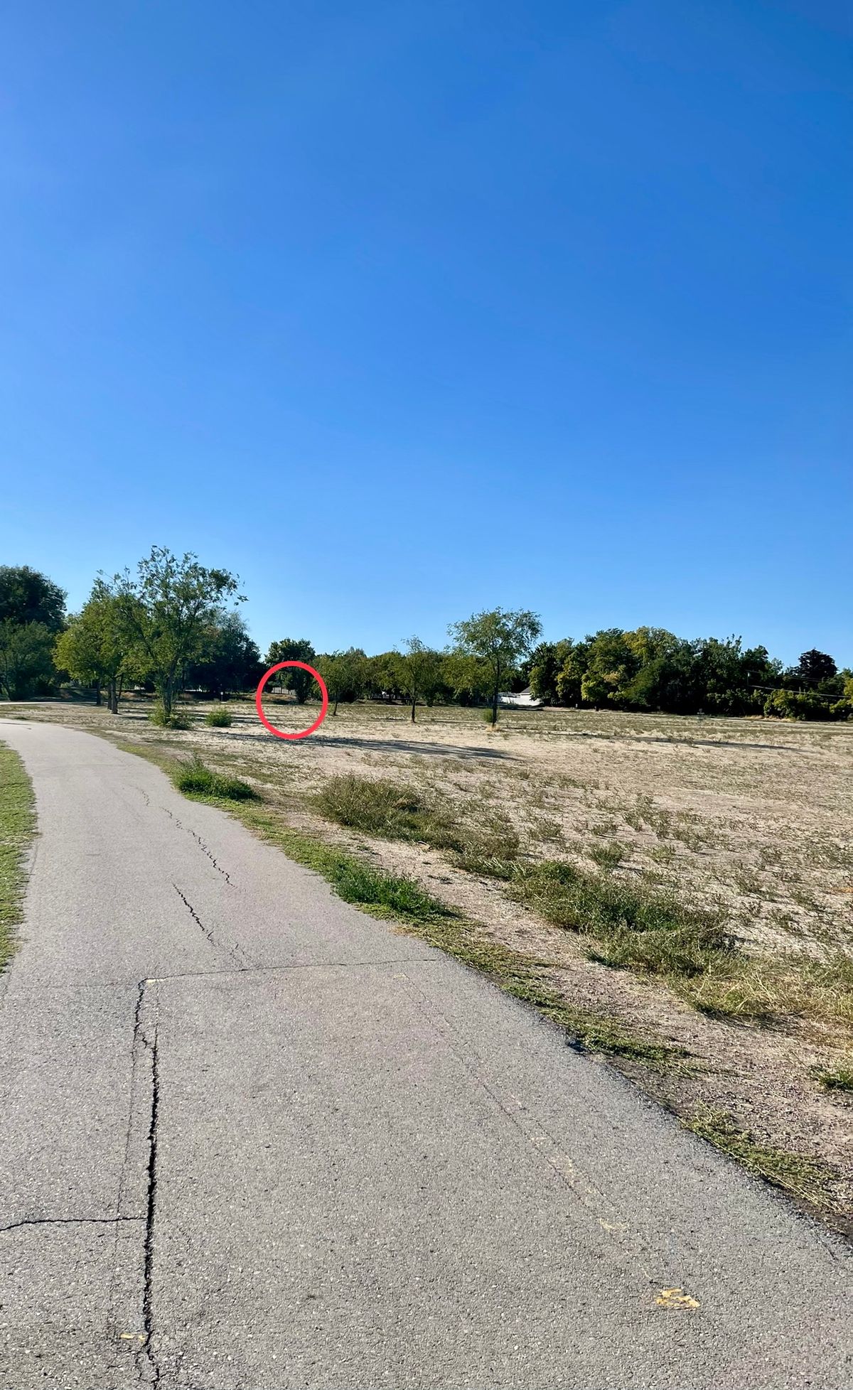 Hole 11 Long Right Basket