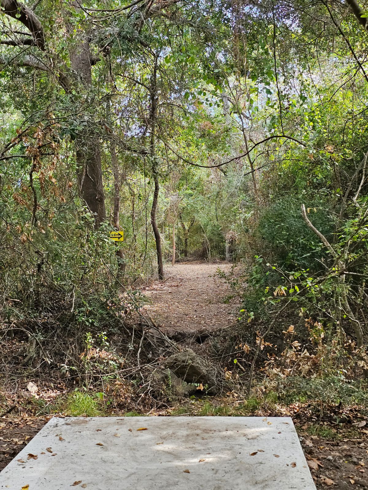 Hole 4 Tee