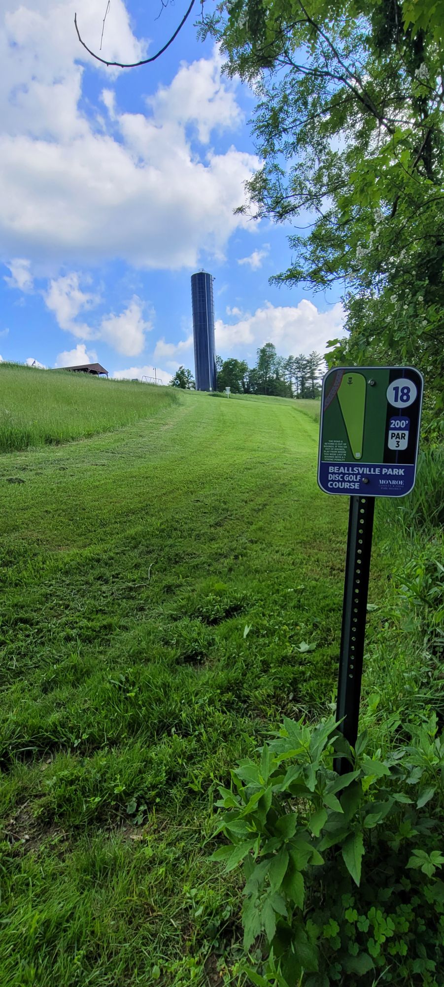 18 tee
