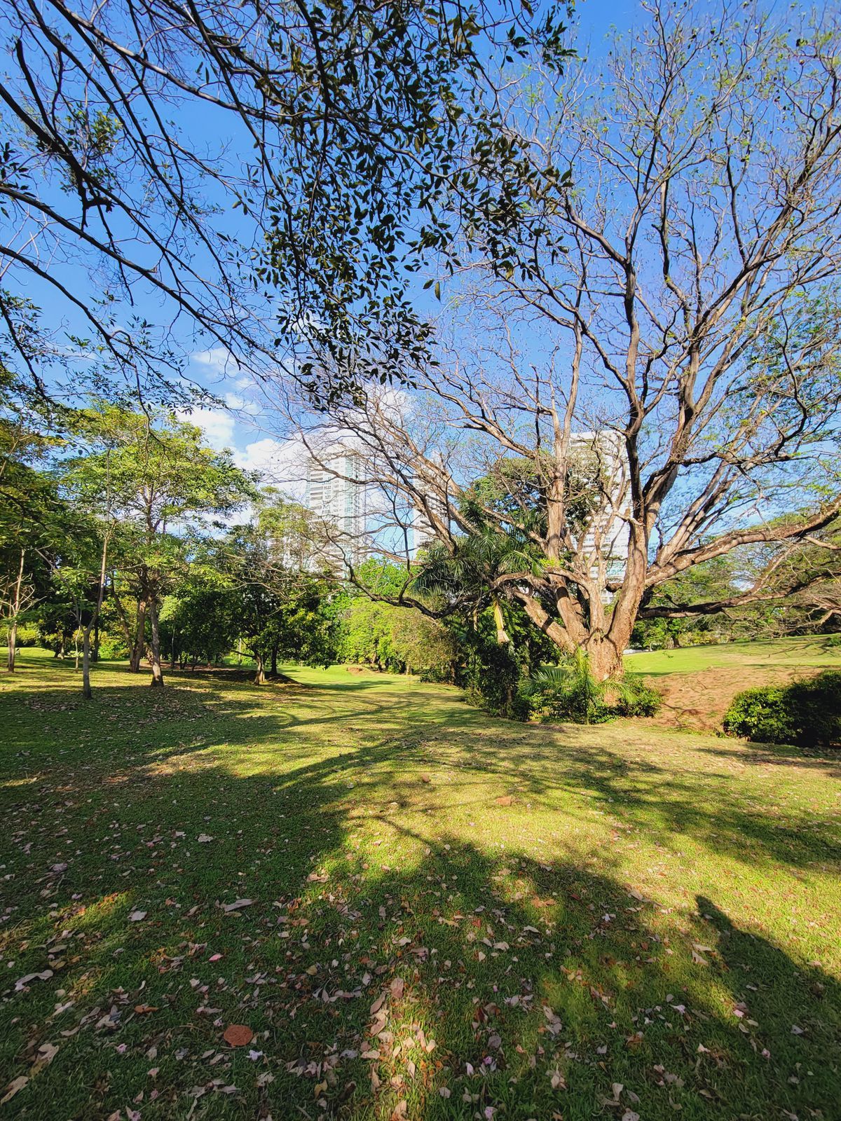 Parque Omar DG Course
Hole 10 Target and Hole 11 Fairway