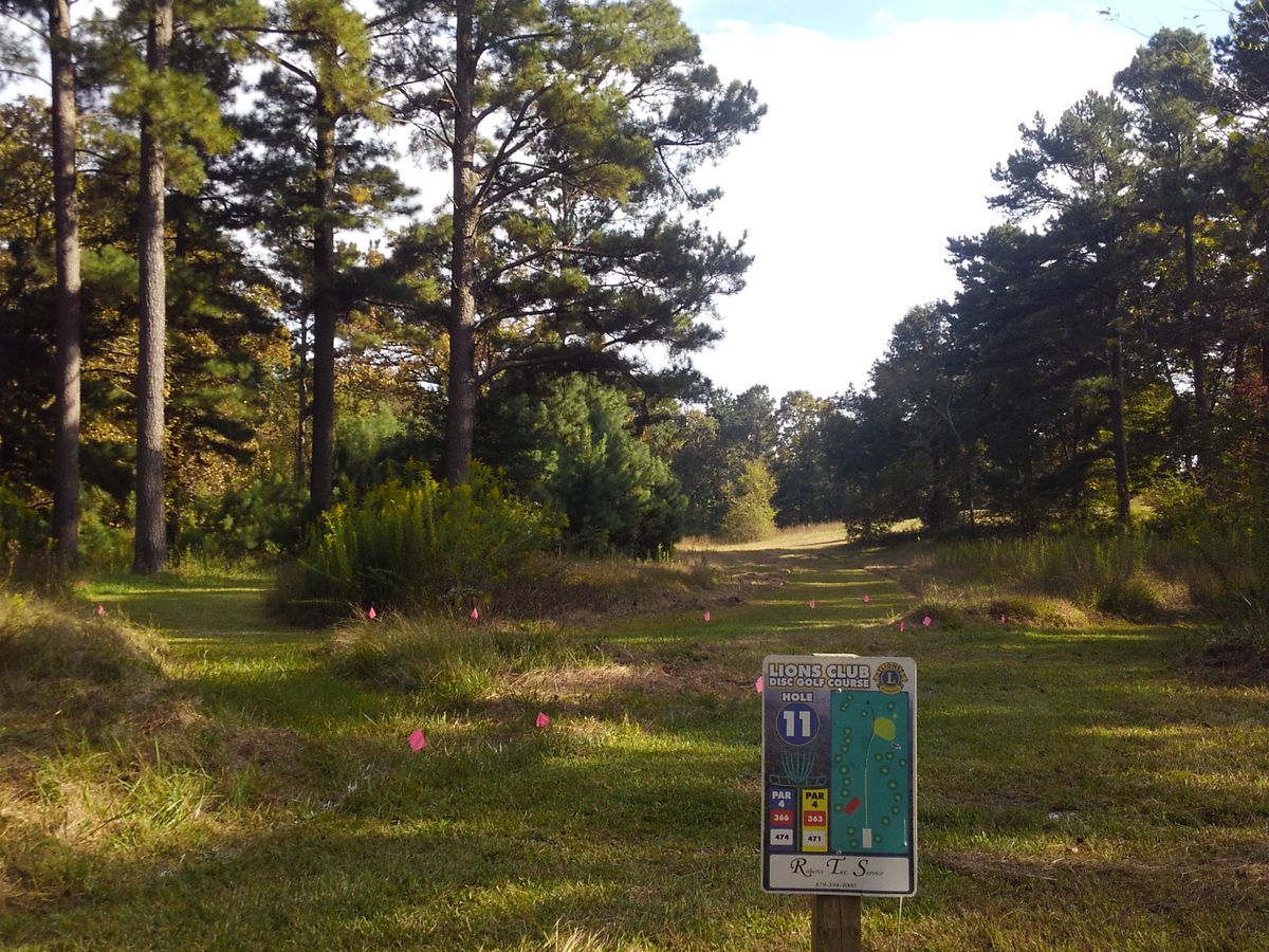 #11 tee