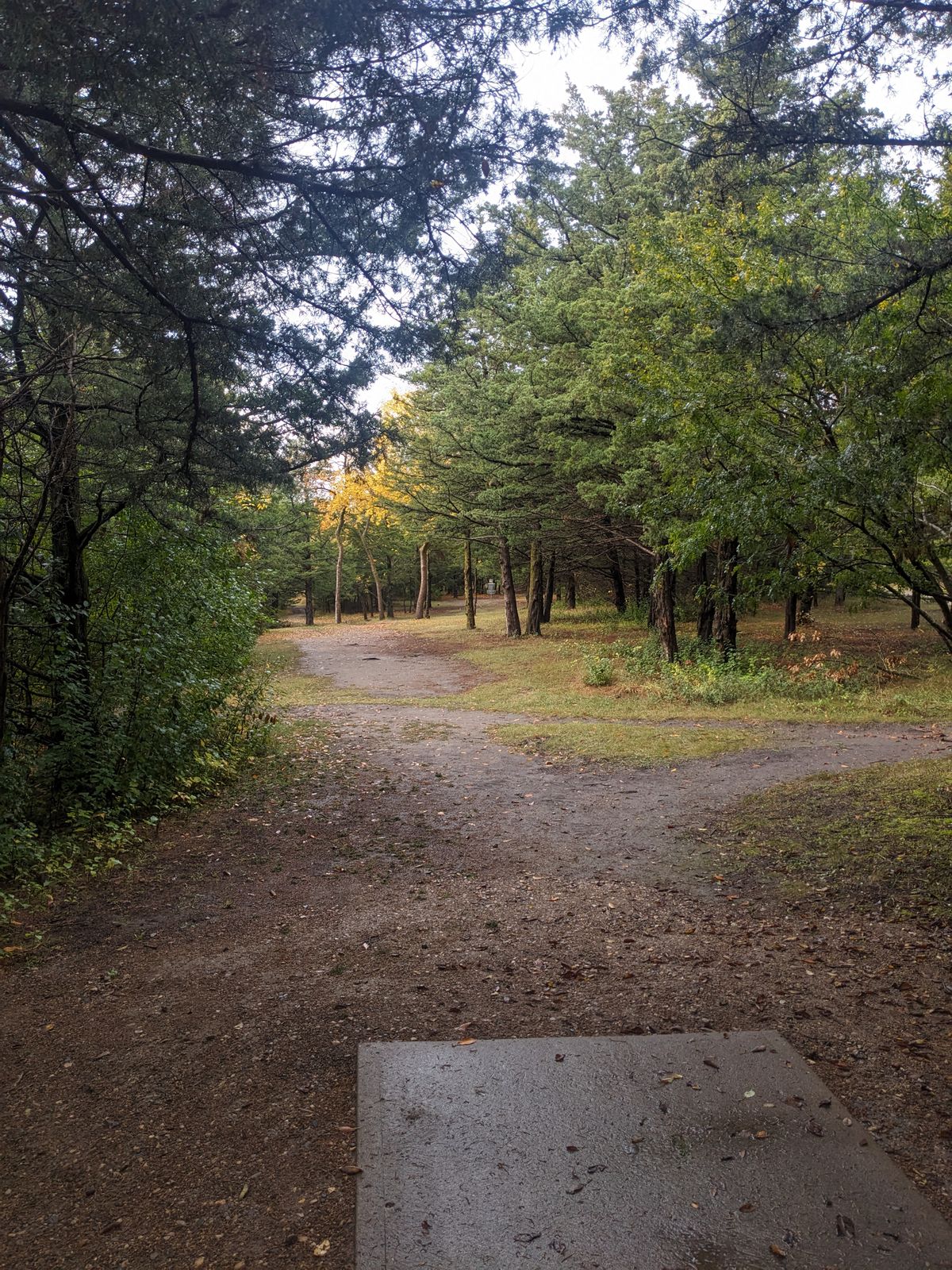 Hole 3