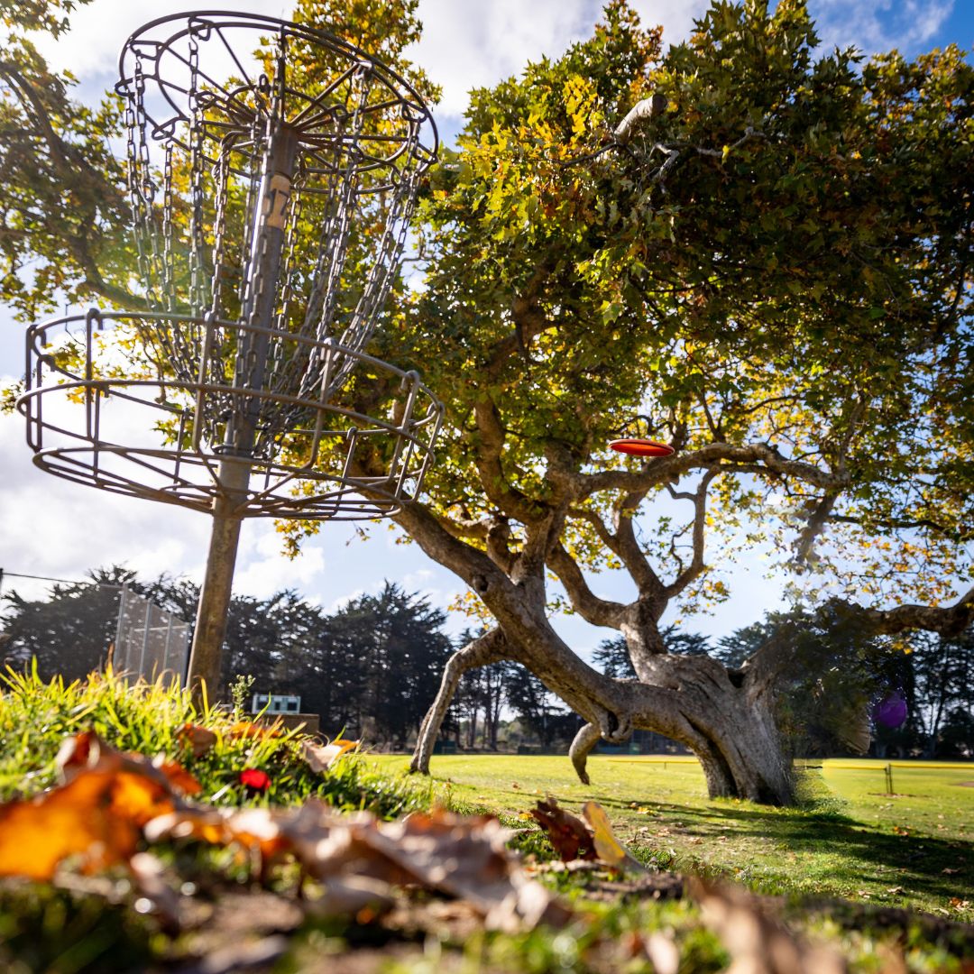 Hole 17’s basket.