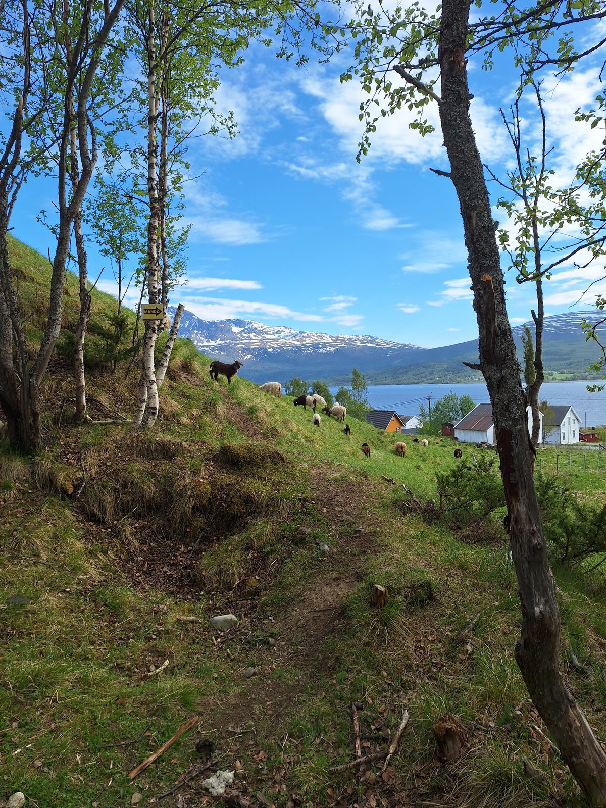 Idylliska håll 4