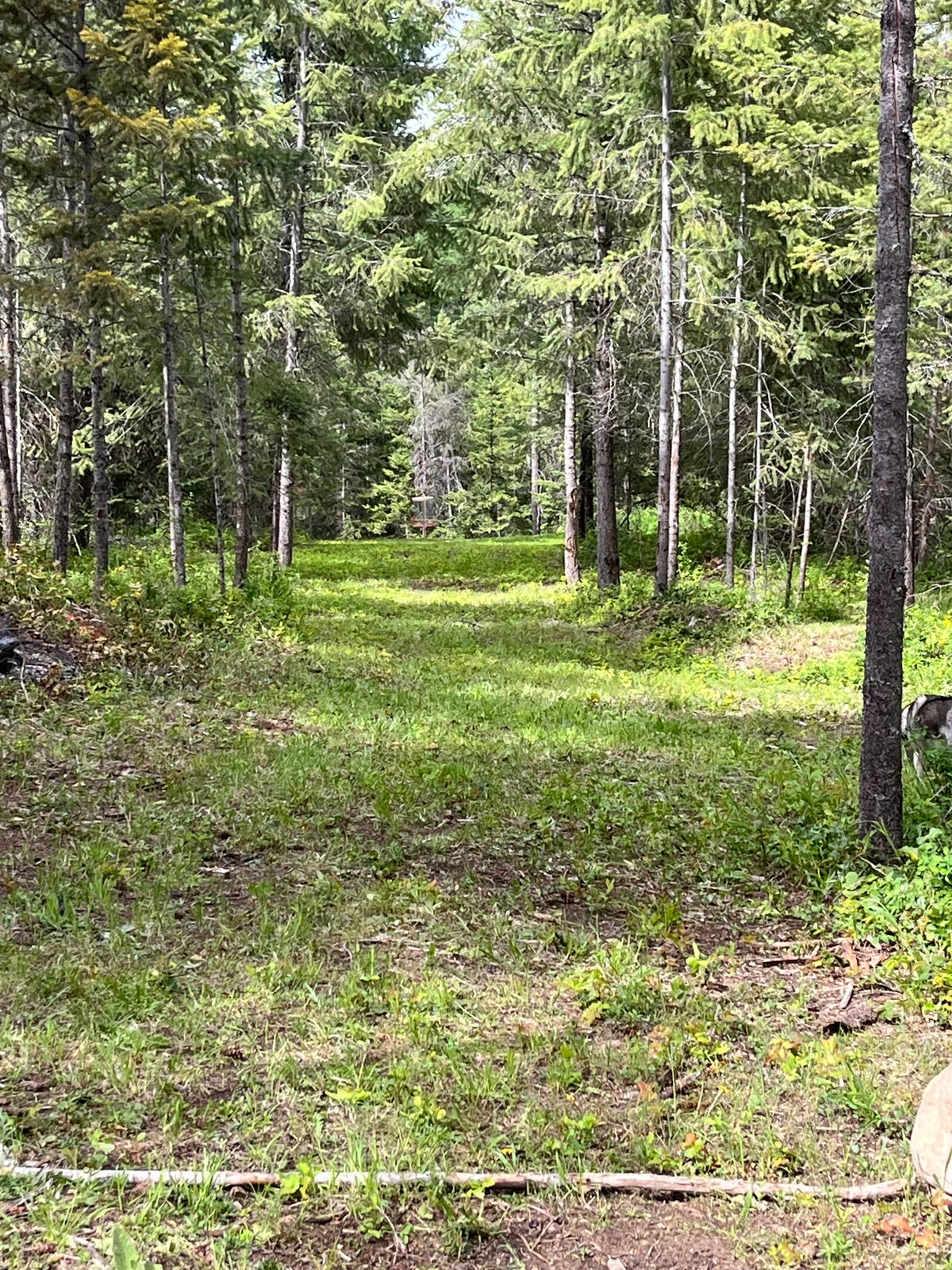 Hole 8