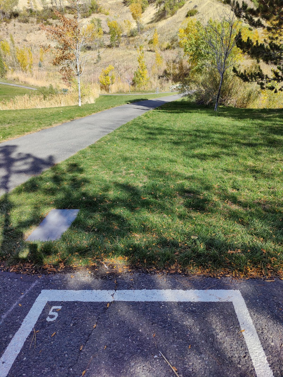 Hole #5 teepad