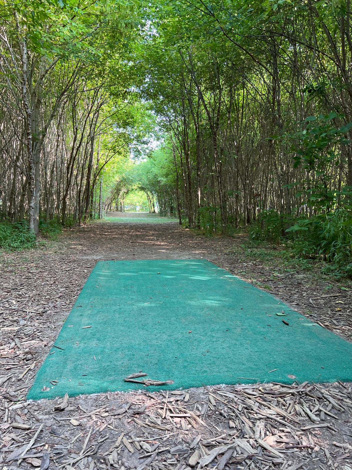 Beautiful hole 2 at Shadow Pines in the summer