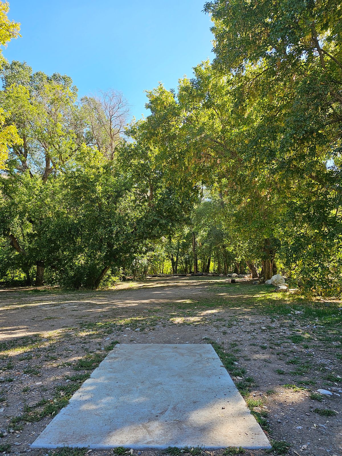 Tee Pad #2