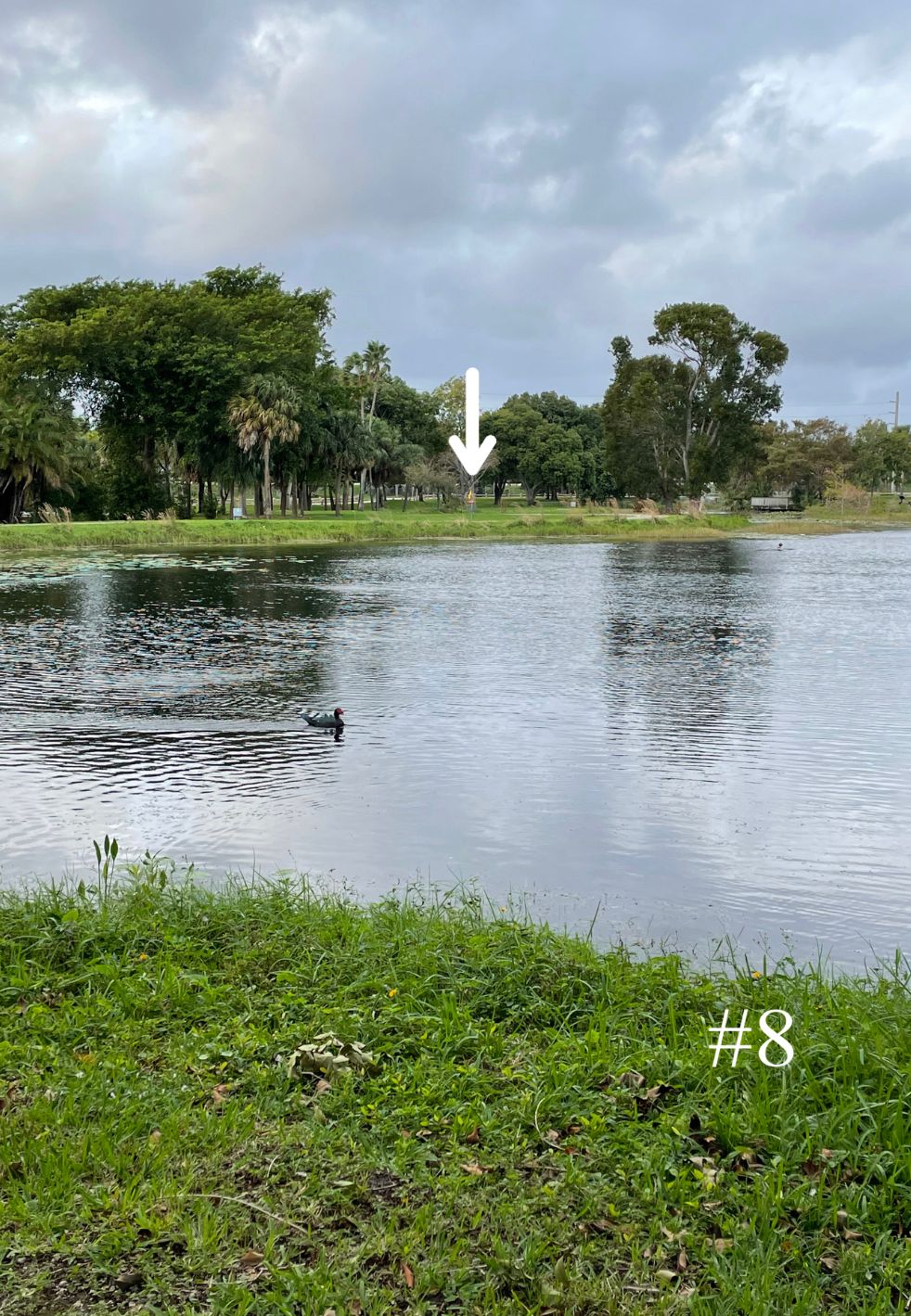 Hole 8, Long Tee