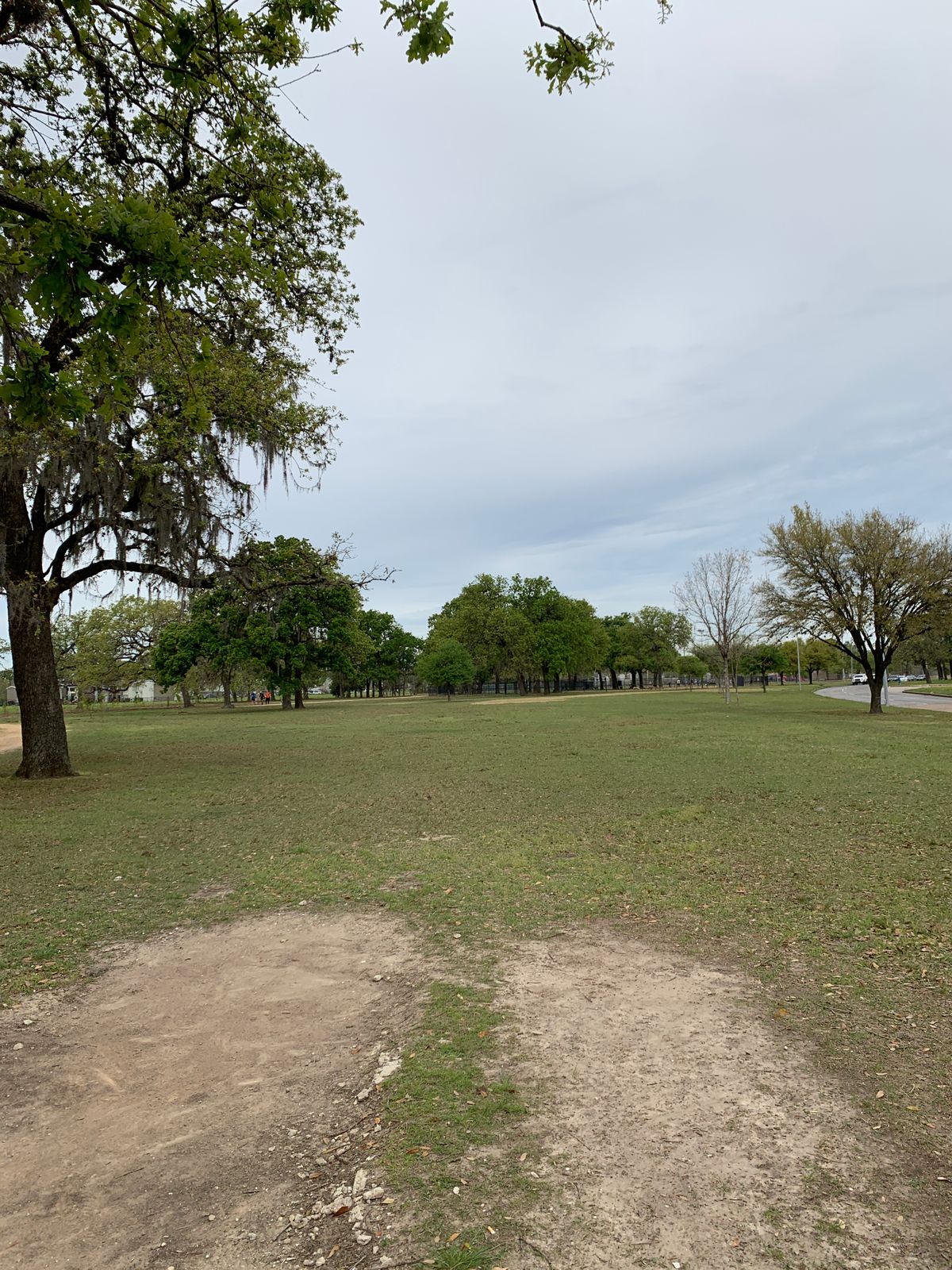Hole 21, basket just left of main tree in fairway.