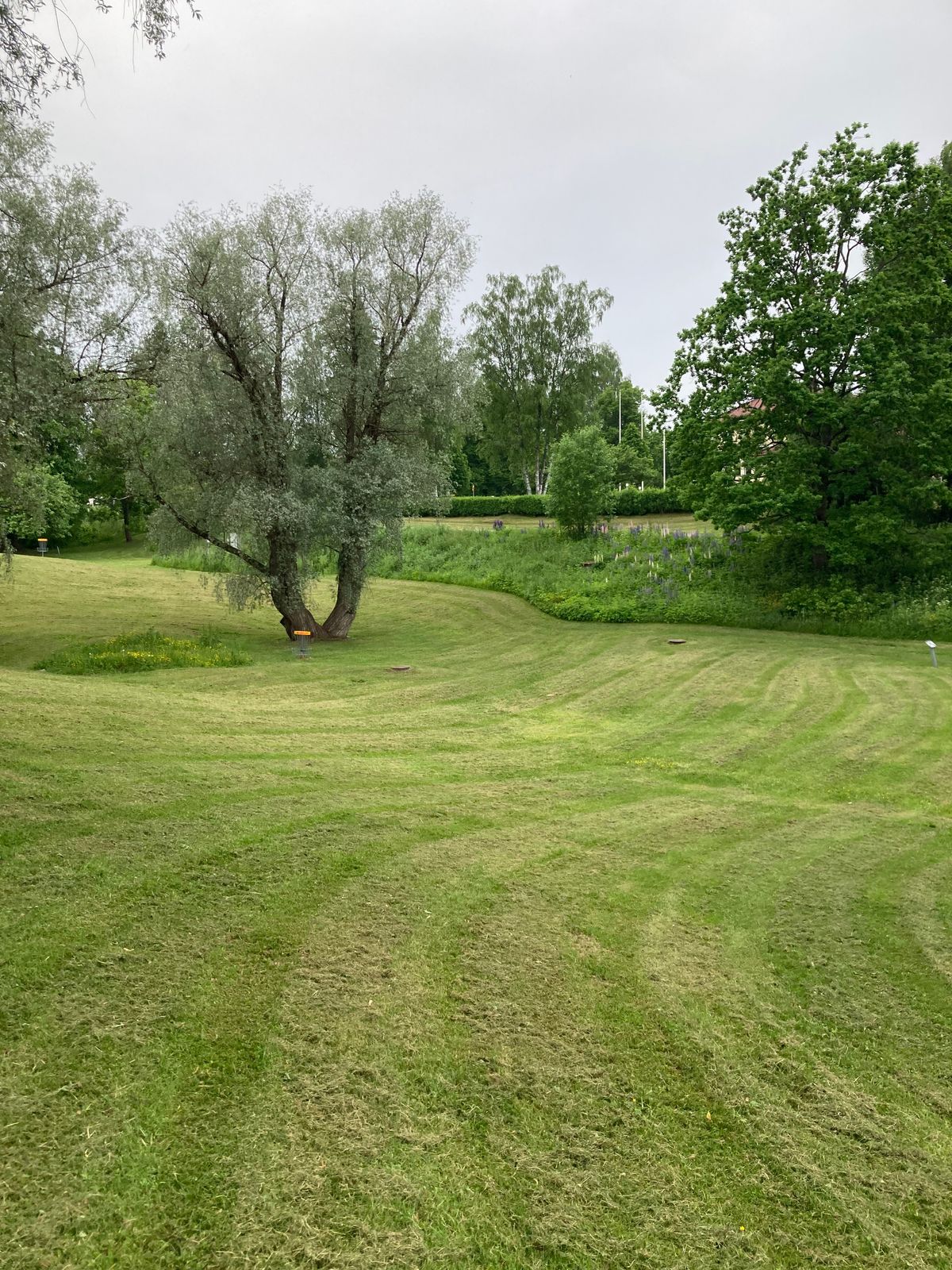 Course photo