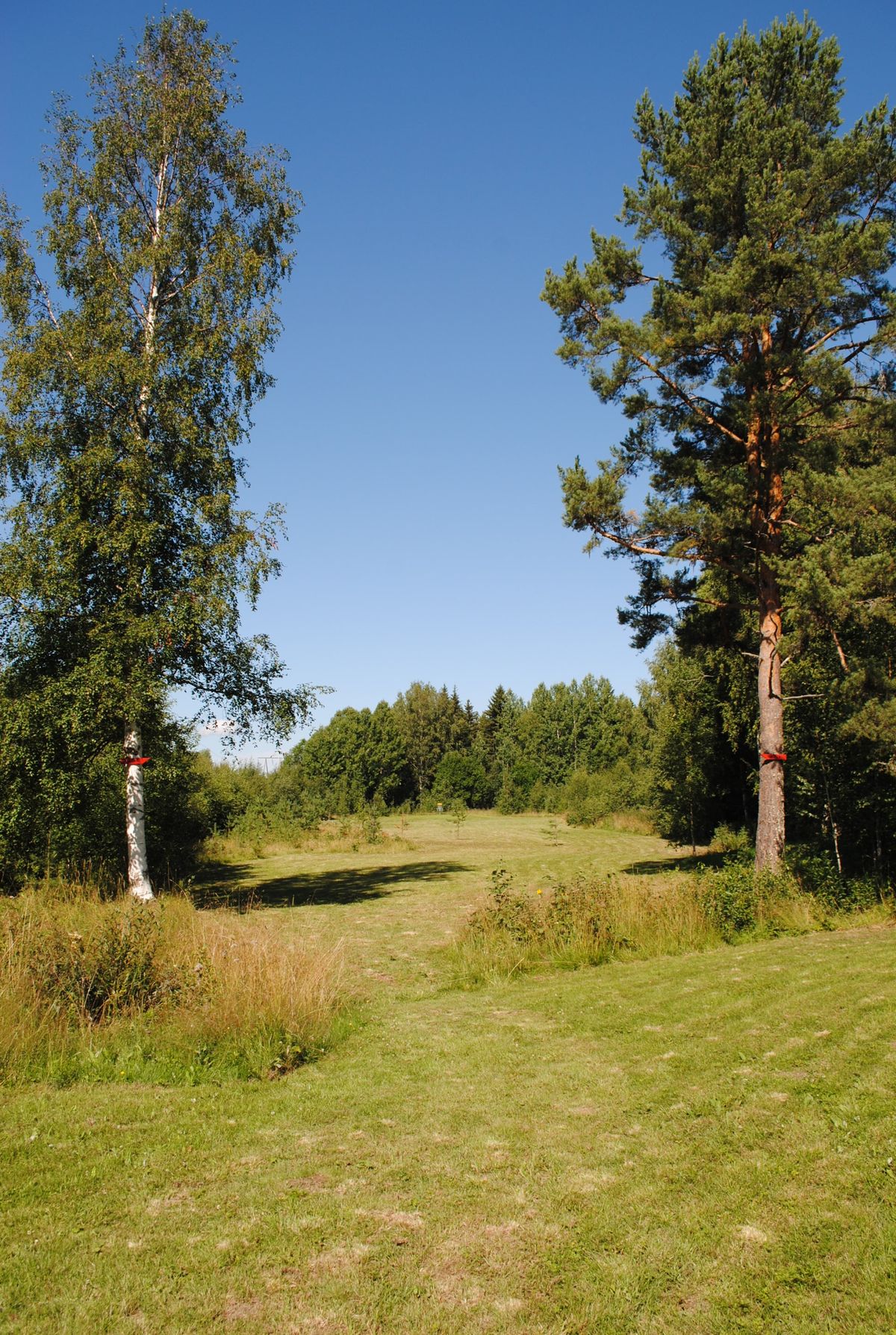 Hål 6