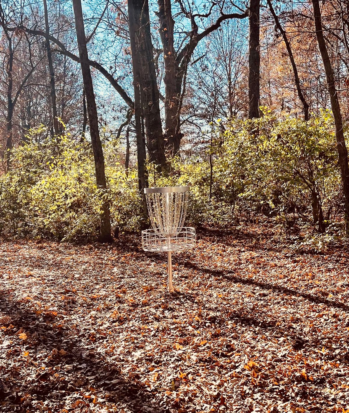 New basket on hole 17.