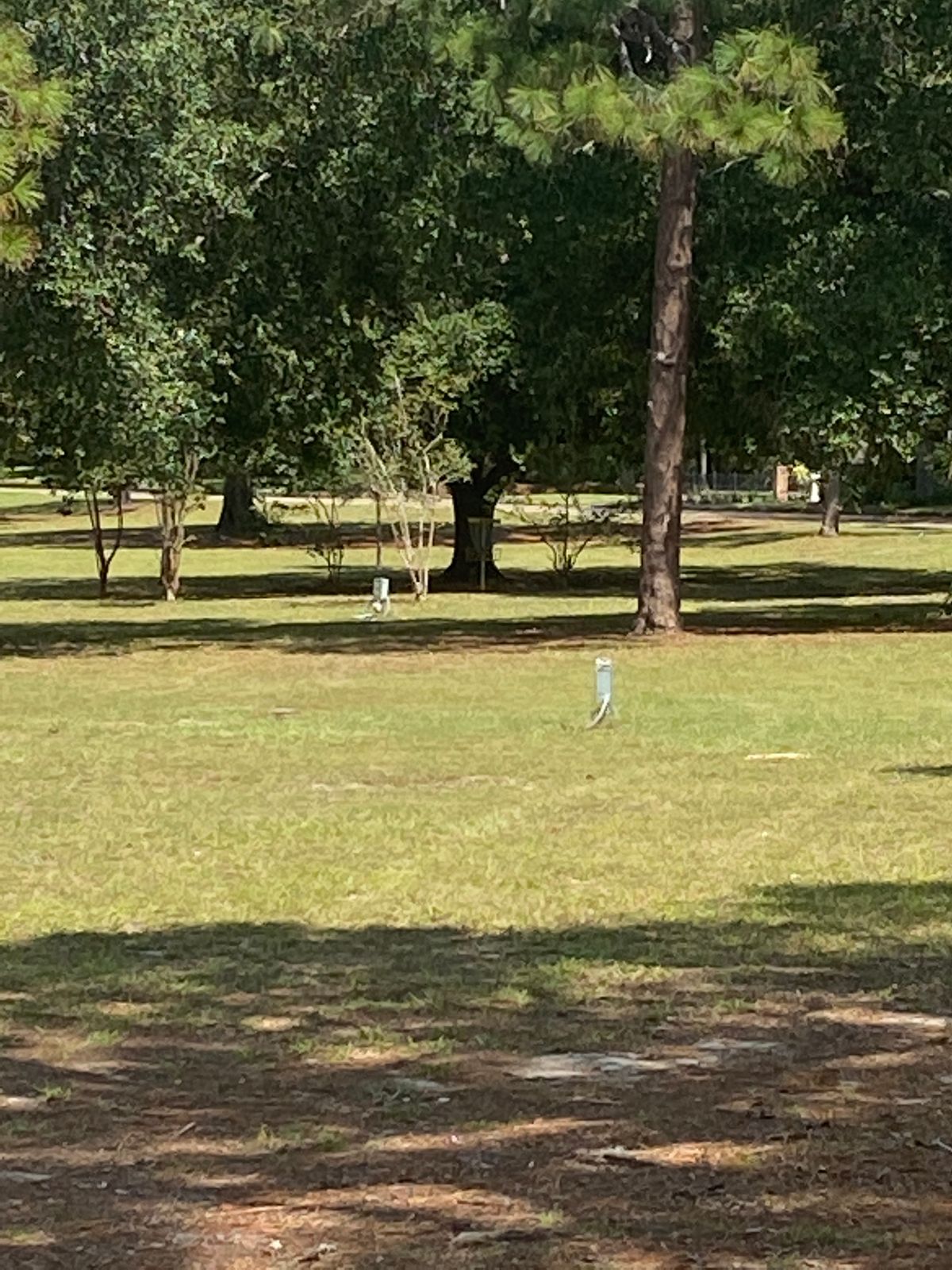 Hole 11