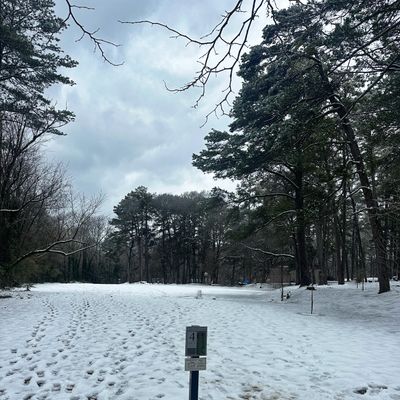 Hole 4