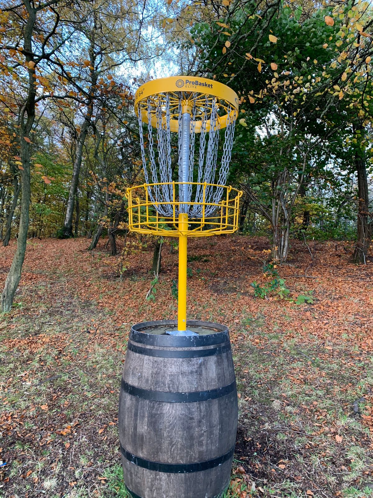 New Baskets on hole 8 - The wee Dram