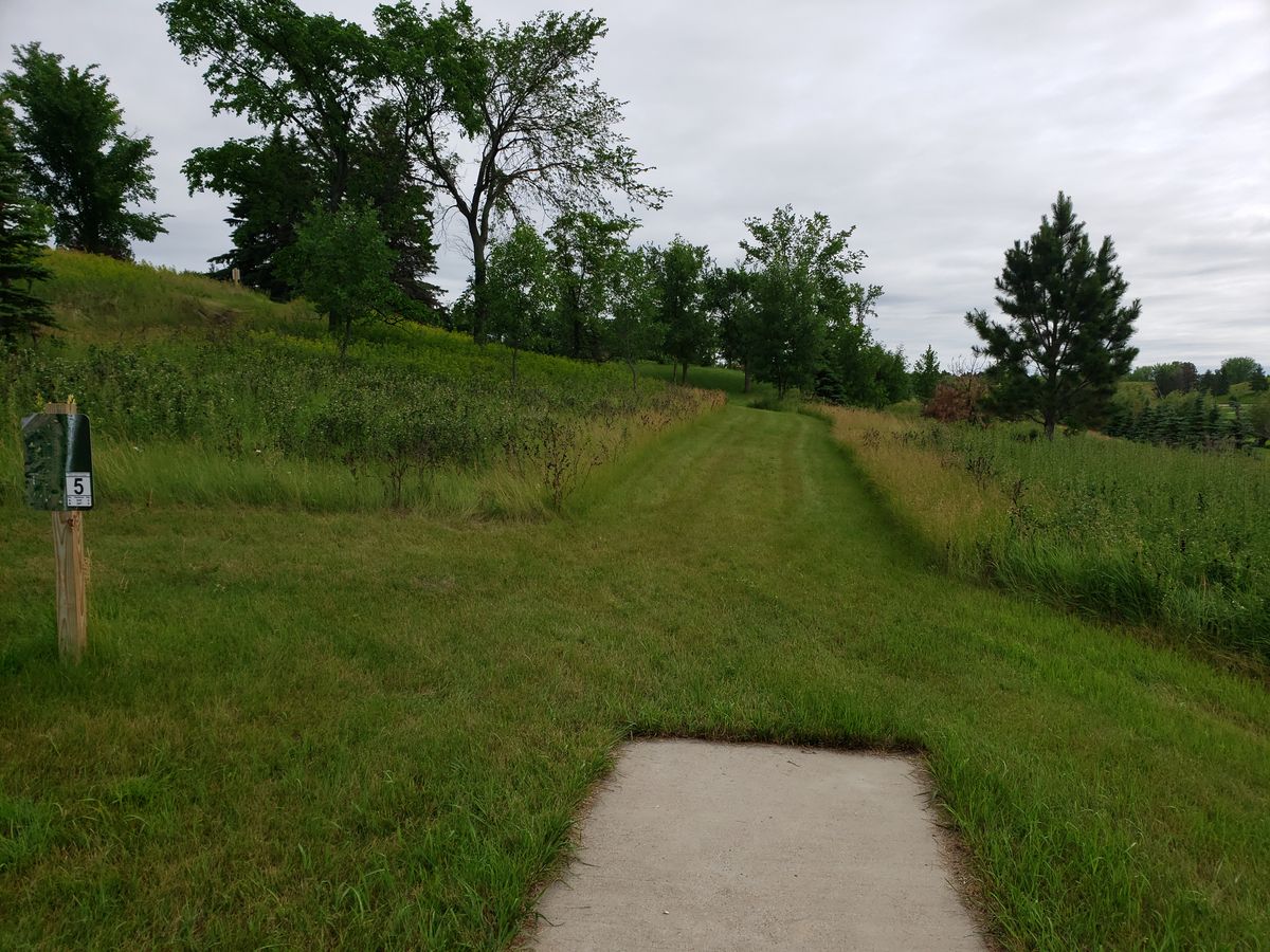 Hole 5 tee