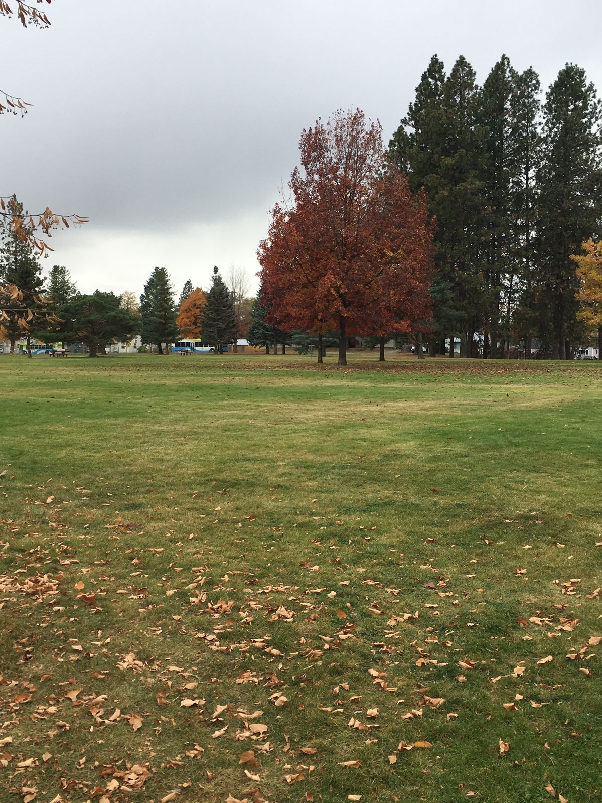 View from tee box of hole 9 (9 hole layout)