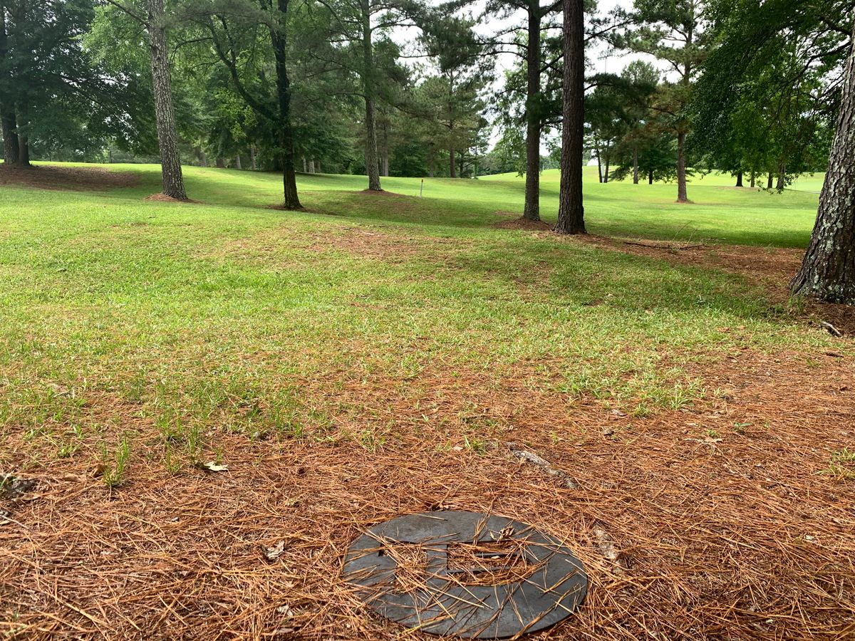 View from hole 15 marker and the basket is over the hill straight ahead in the grove of trees.