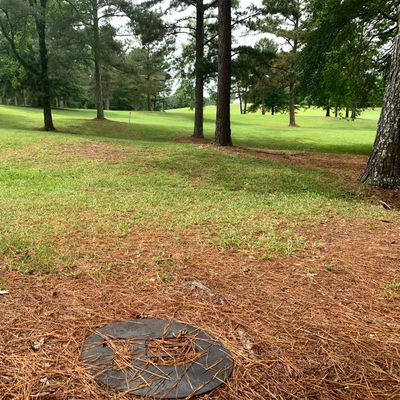 View from hole 15 marker and the basket is over the hill straight ahead in the grove of trees.