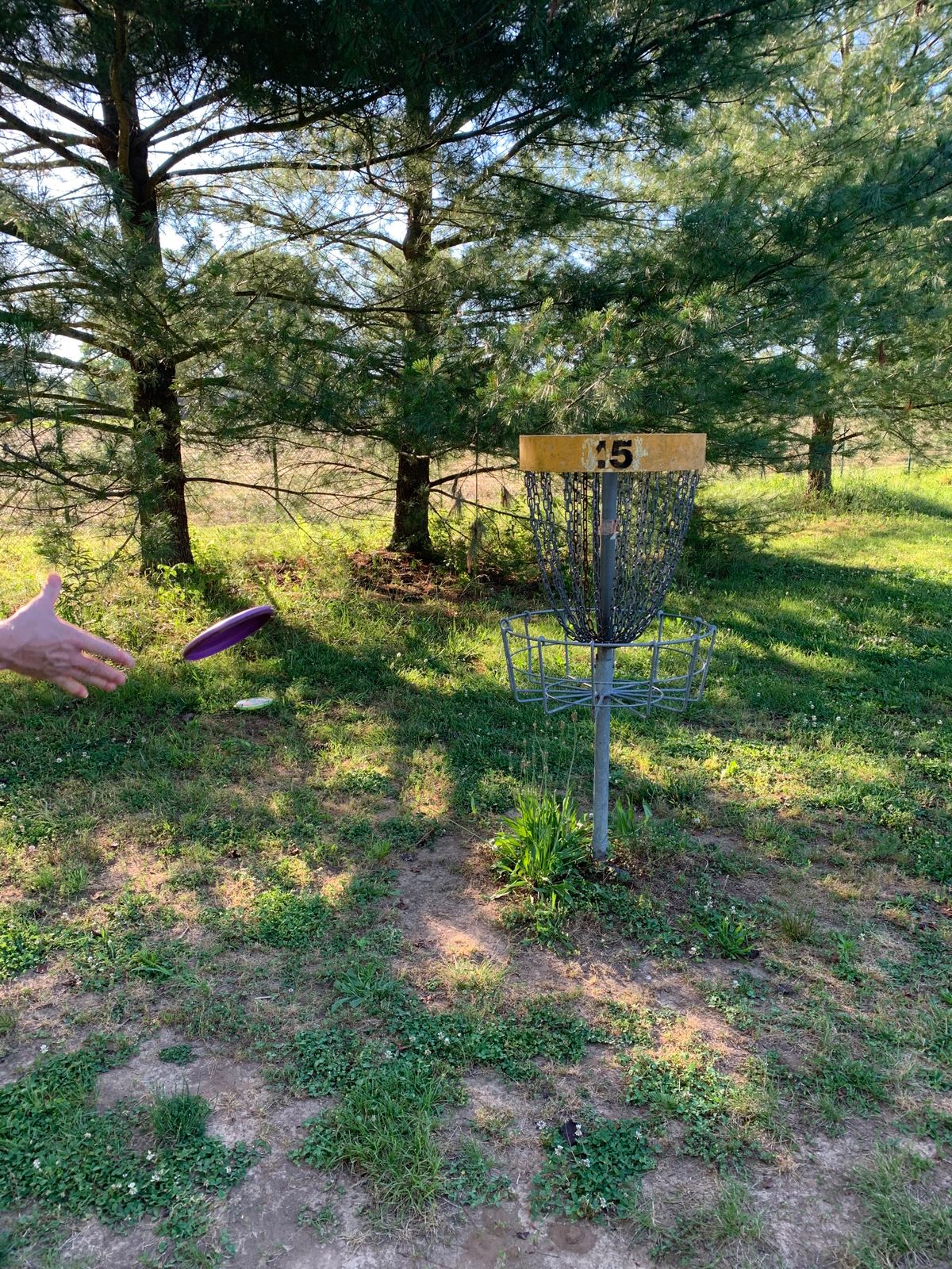 Hole 15