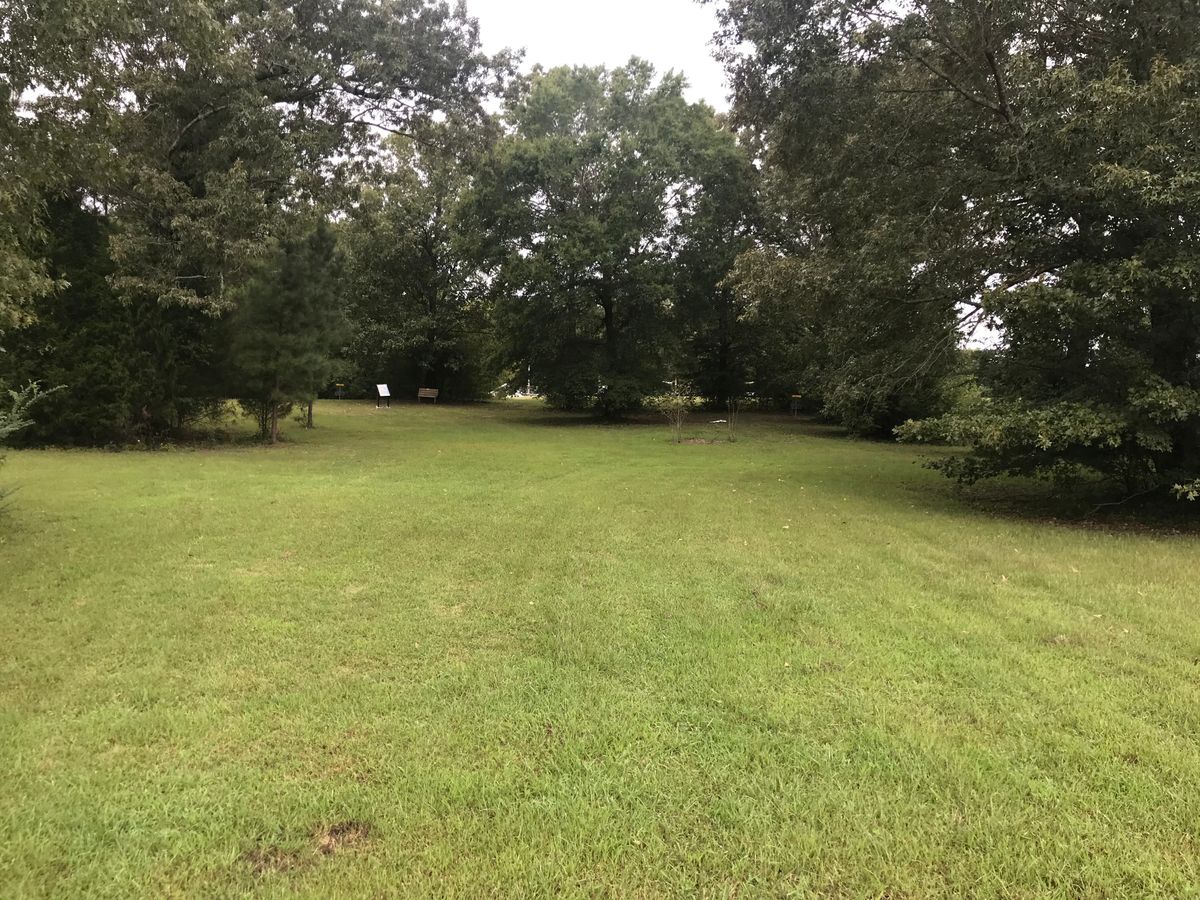 area pic (maybe basket #9 on the right & 10 on the left)