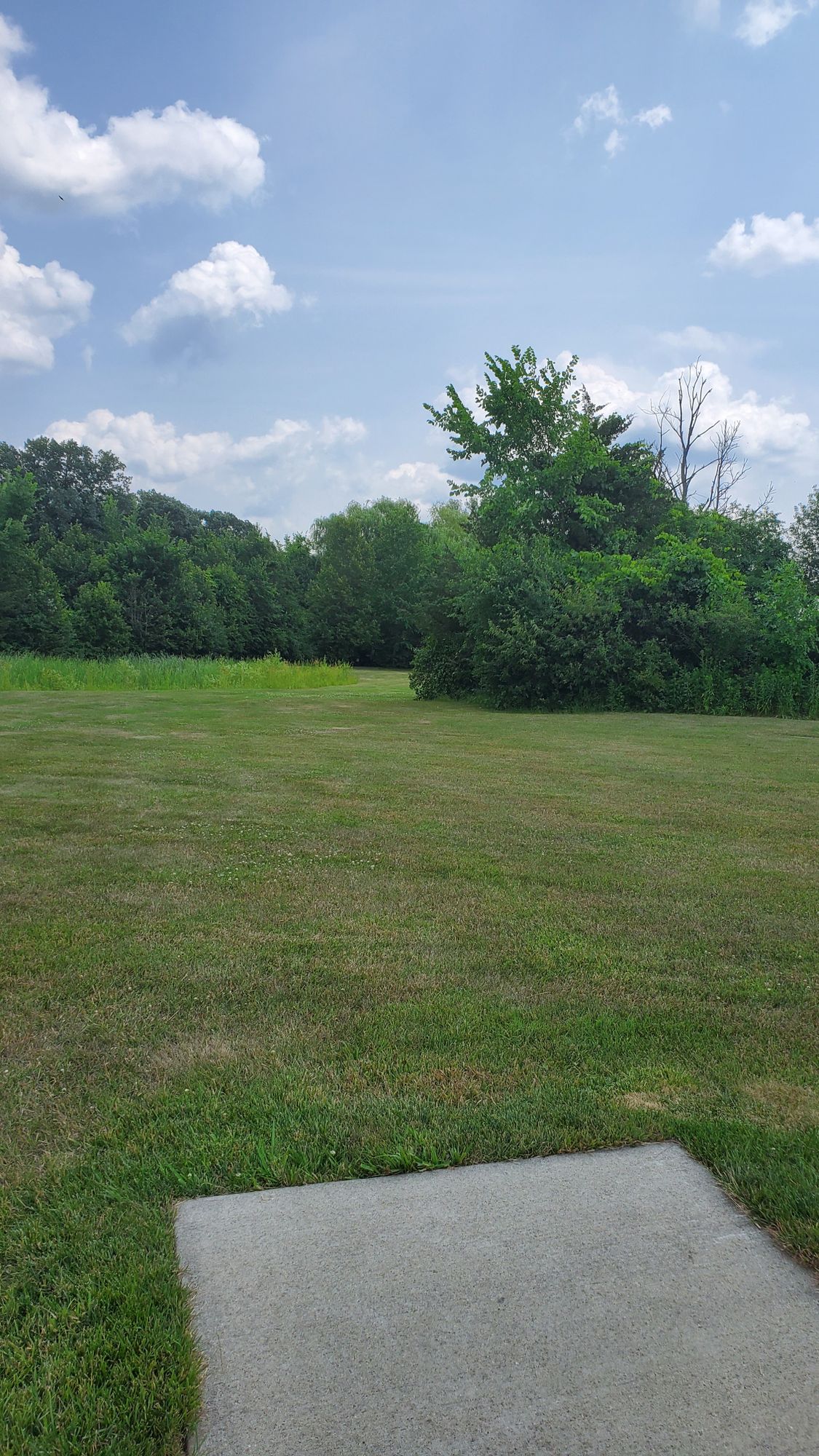 Hole 8 tee. Hole is straight with a slight right bend.