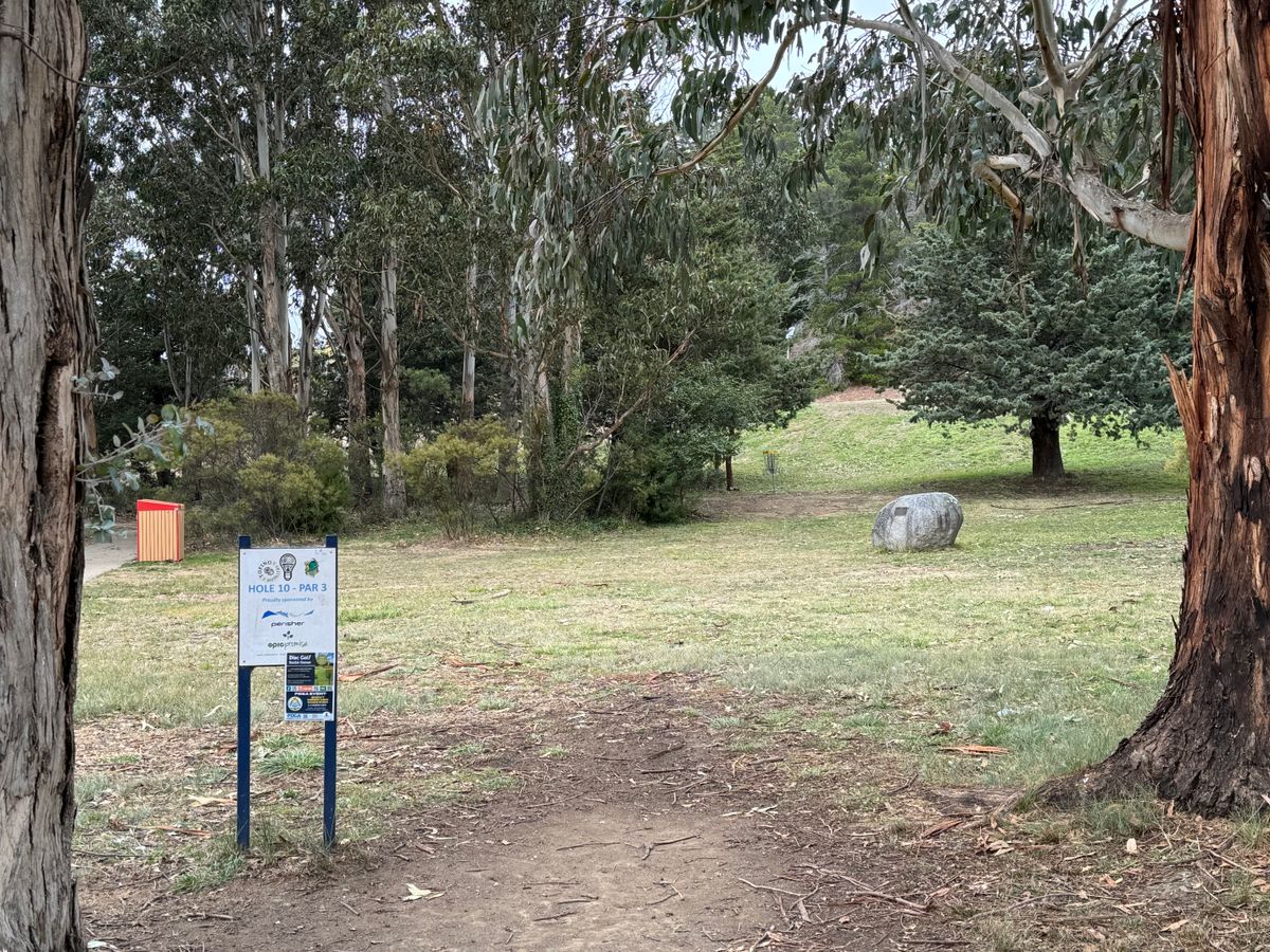 Hole 10 begins into the trees