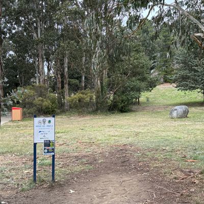 Hole 10 begins into the trees