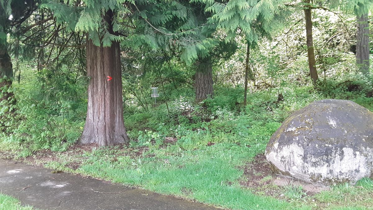 Hole 3
