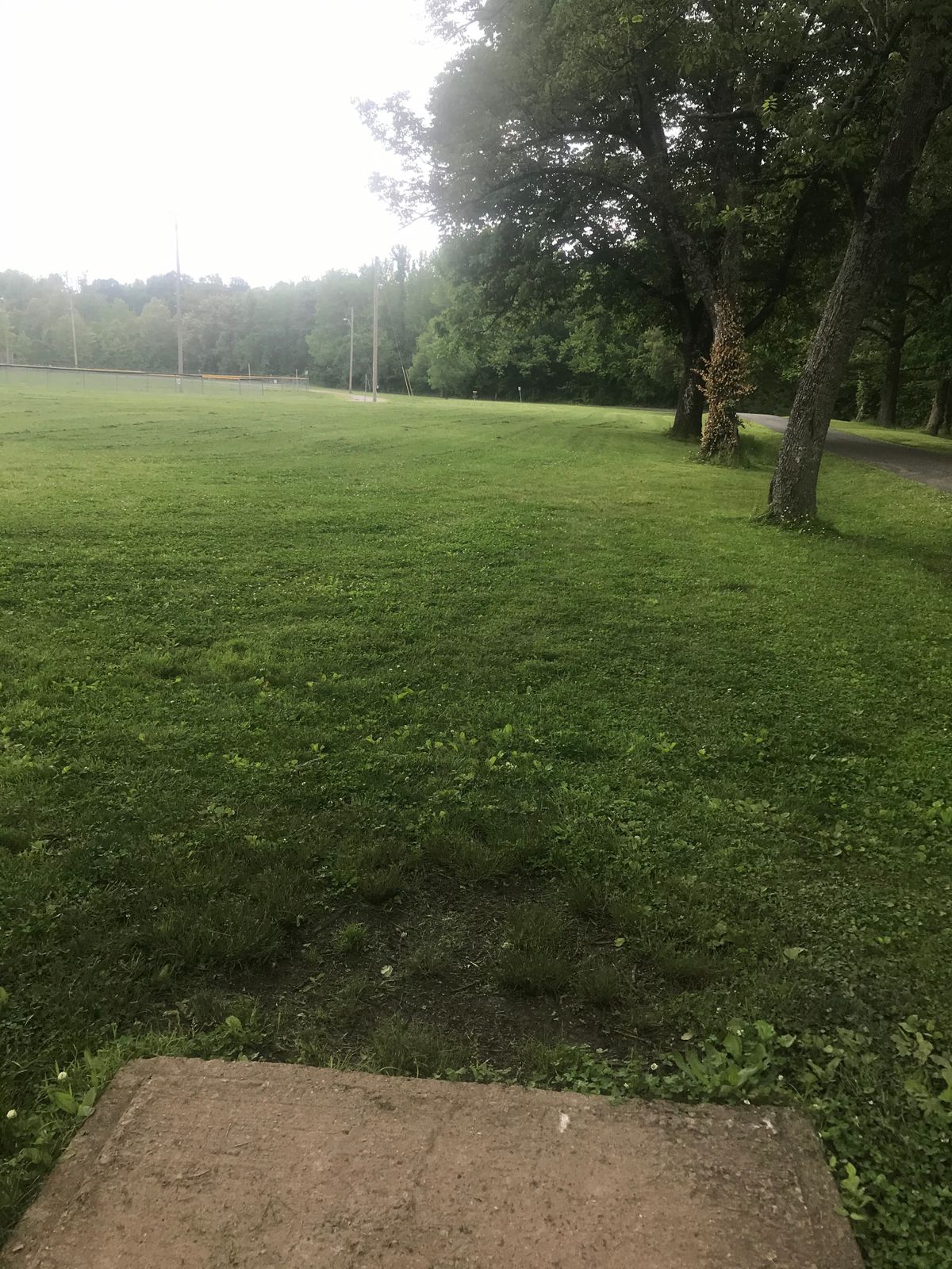 Hole 13