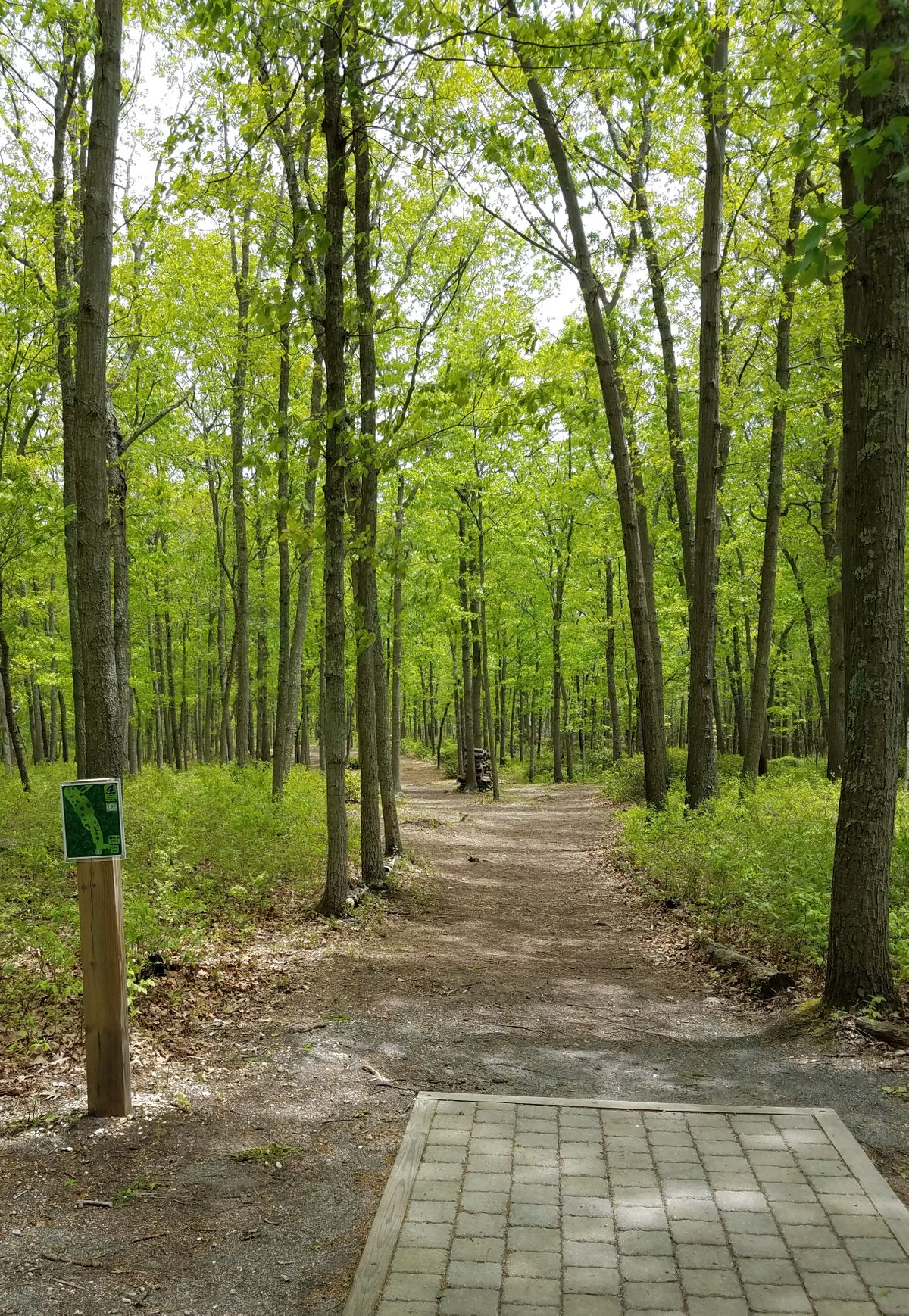 Allaire State Park, #10, Par 4