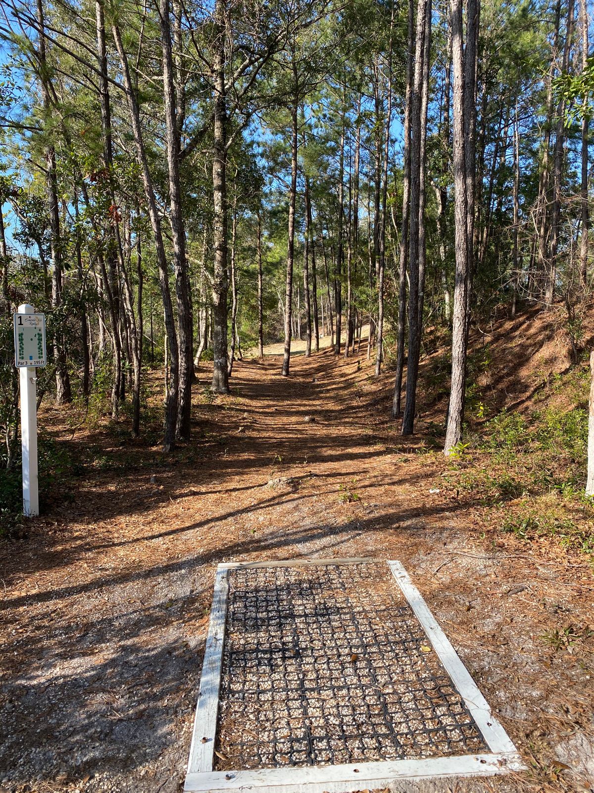 hole 1