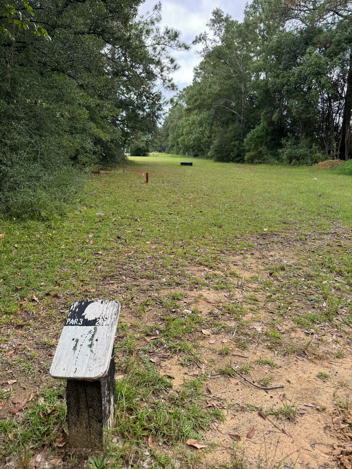 Hole 13 tee