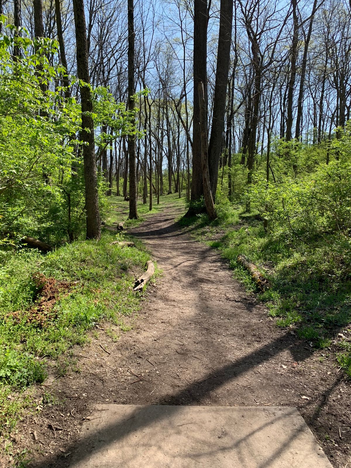 Hole 2