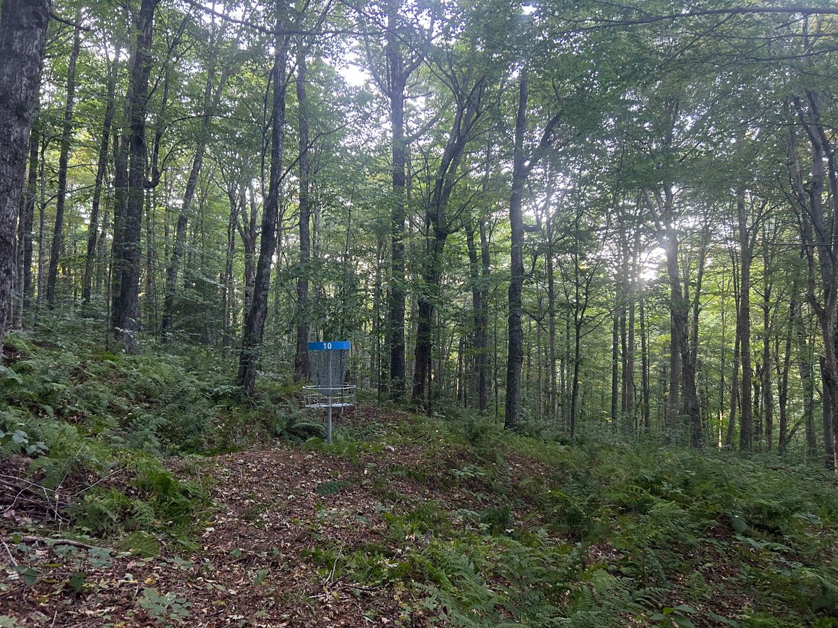 Hole 10 green
