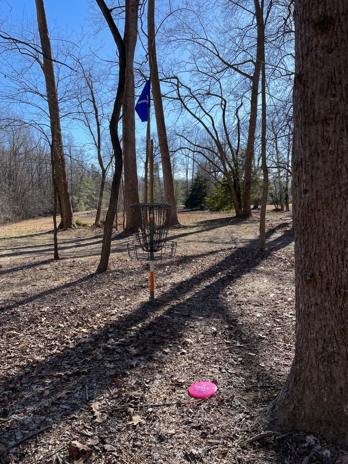 Basket 7 looking back at fairway