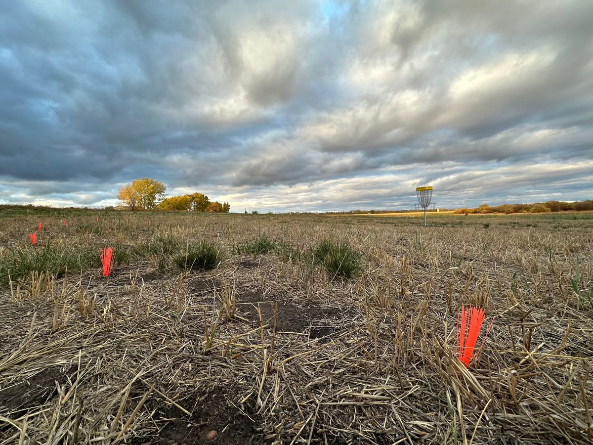 Hole 8 island markers. 10 m radius. 