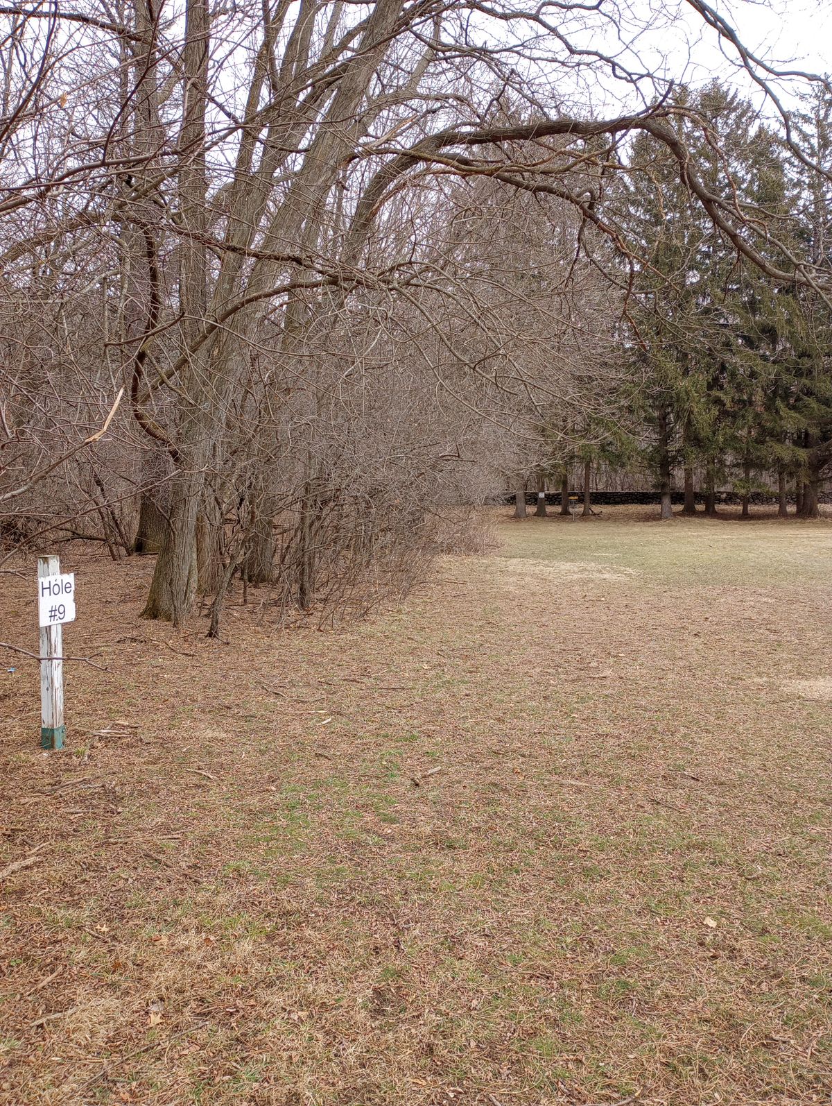 Main Tee