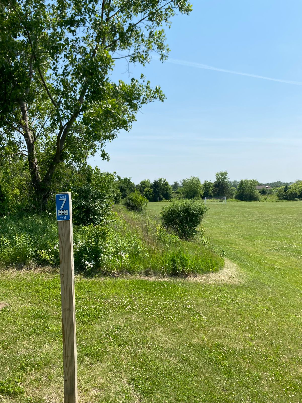 Basket 7 tee - this tee is sloped ground so be careful with your footing