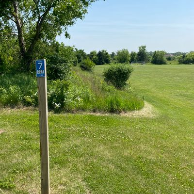 Basket 7 tee - this tee is sloped ground so be careful with your footing