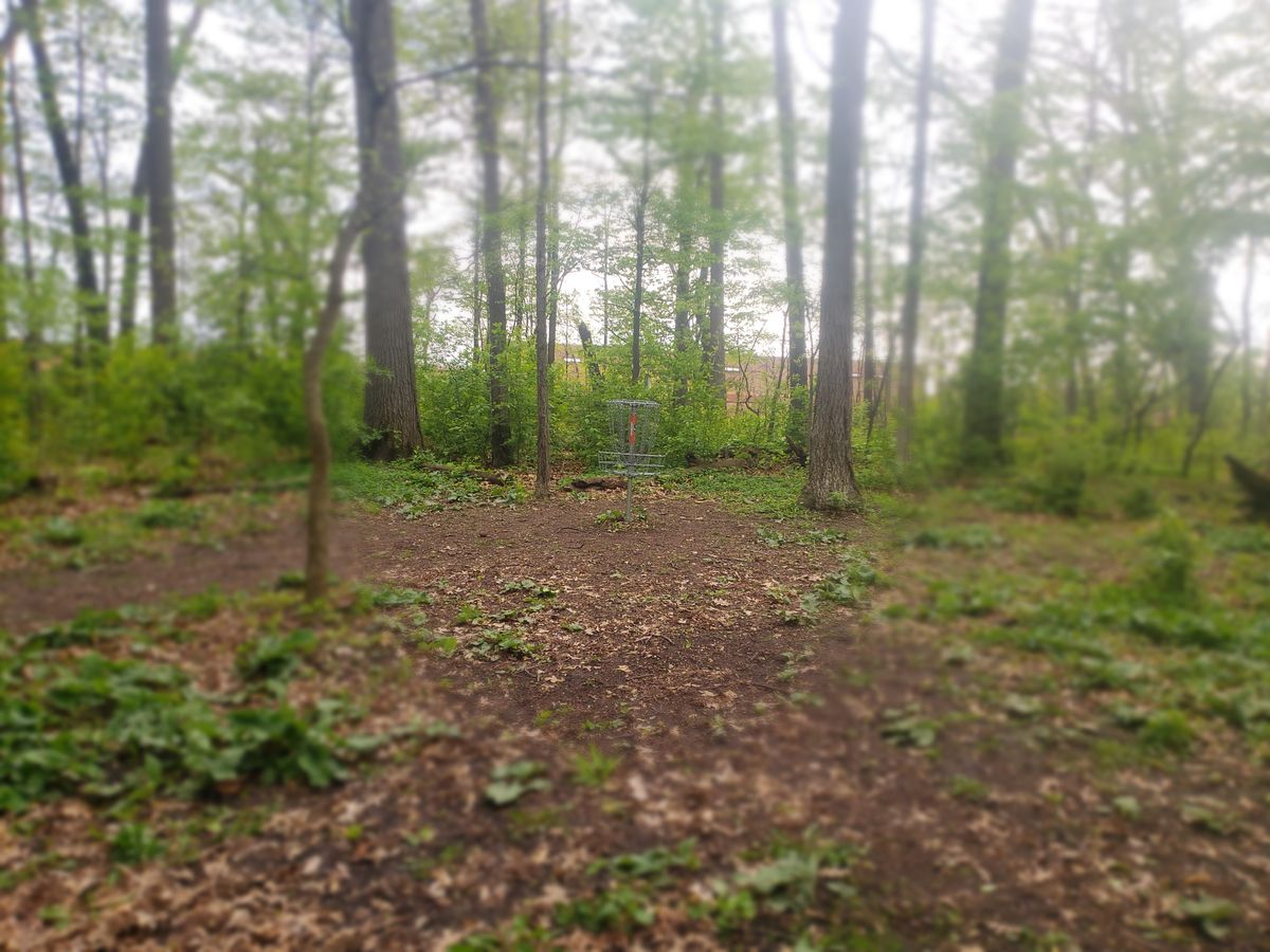 Hole 5
